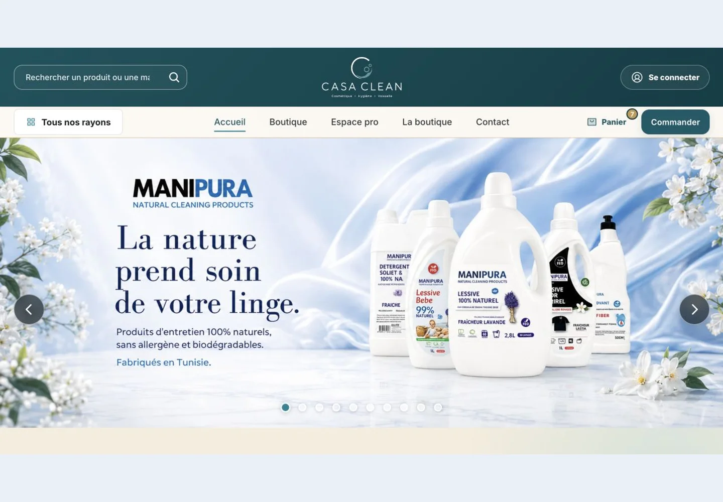 CASA CLEAN — interface du projet